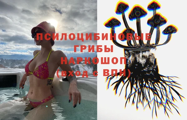прущая мука Абаза