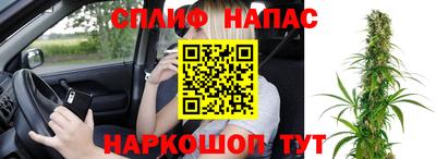 apvp Кимры