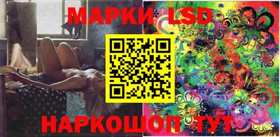 apvp Кимры