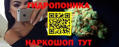 apvp Кимры