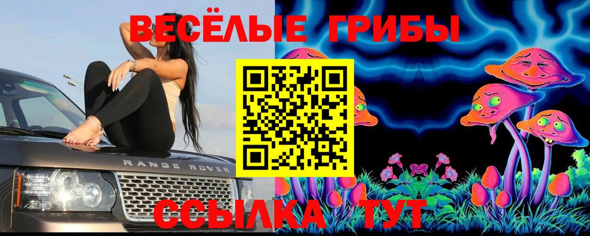 Псилоцибиновые грибы ЛСД  Псилоцибиновые грибы ЛСД  Старая Купавна  Вход с VPN 